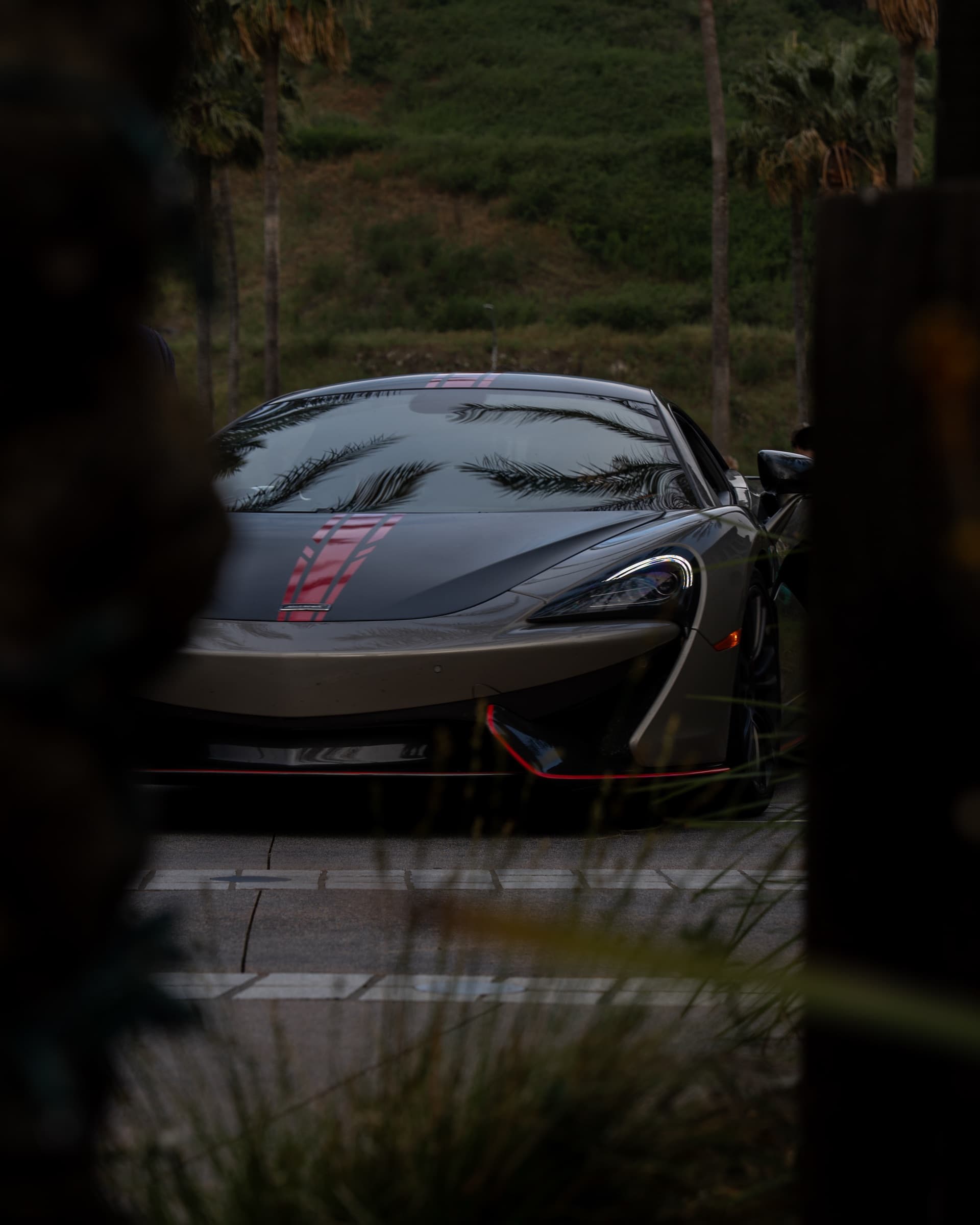 McLaren 570S framed through palms at dusk